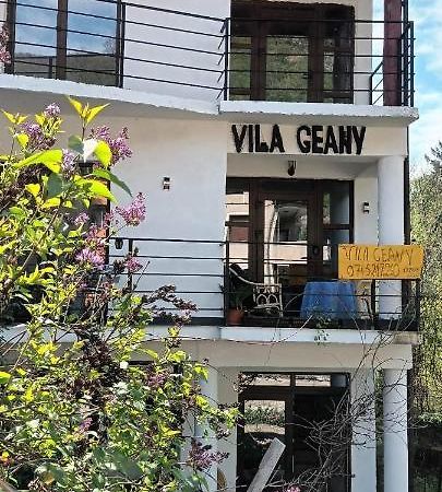 Pensiunea Vila Geany Srl Băile Herculane Eksteriør billede