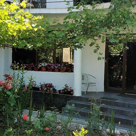 Pensiunea Vila Geany Srl Băile Herculane Eksteriør billede