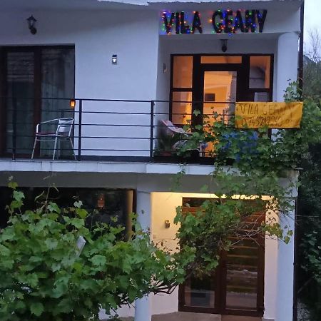 Pensiunea Vila Geany Srl Băile Herculane Eksteriør billede