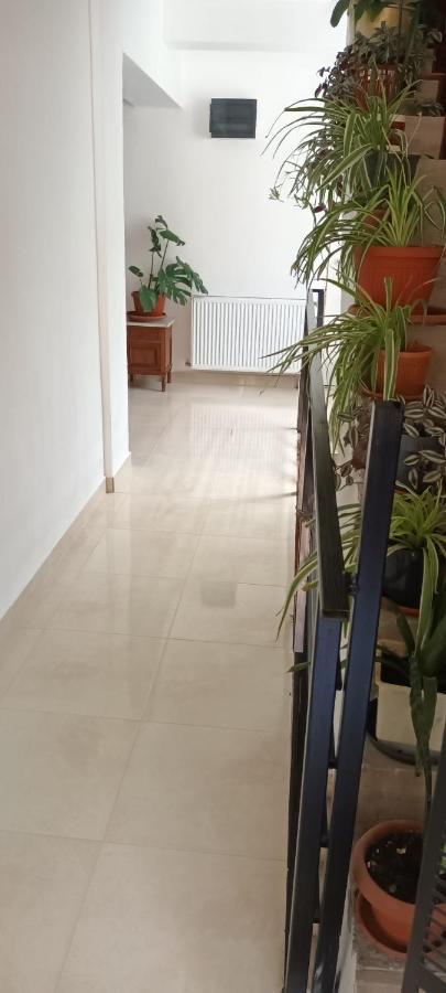 Pensiunea Vila Geany Srl Băile Herculane Eksteriør billede