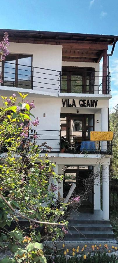 Pensiunea Vila Geany Srl Băile Herculane Eksteriør billede